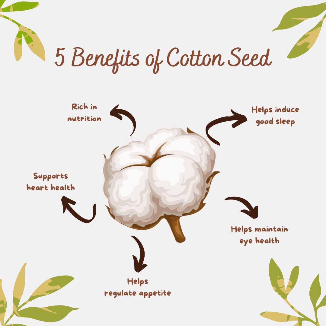 WhatsApp Image 2025-02-01 at 4.30.52 PM